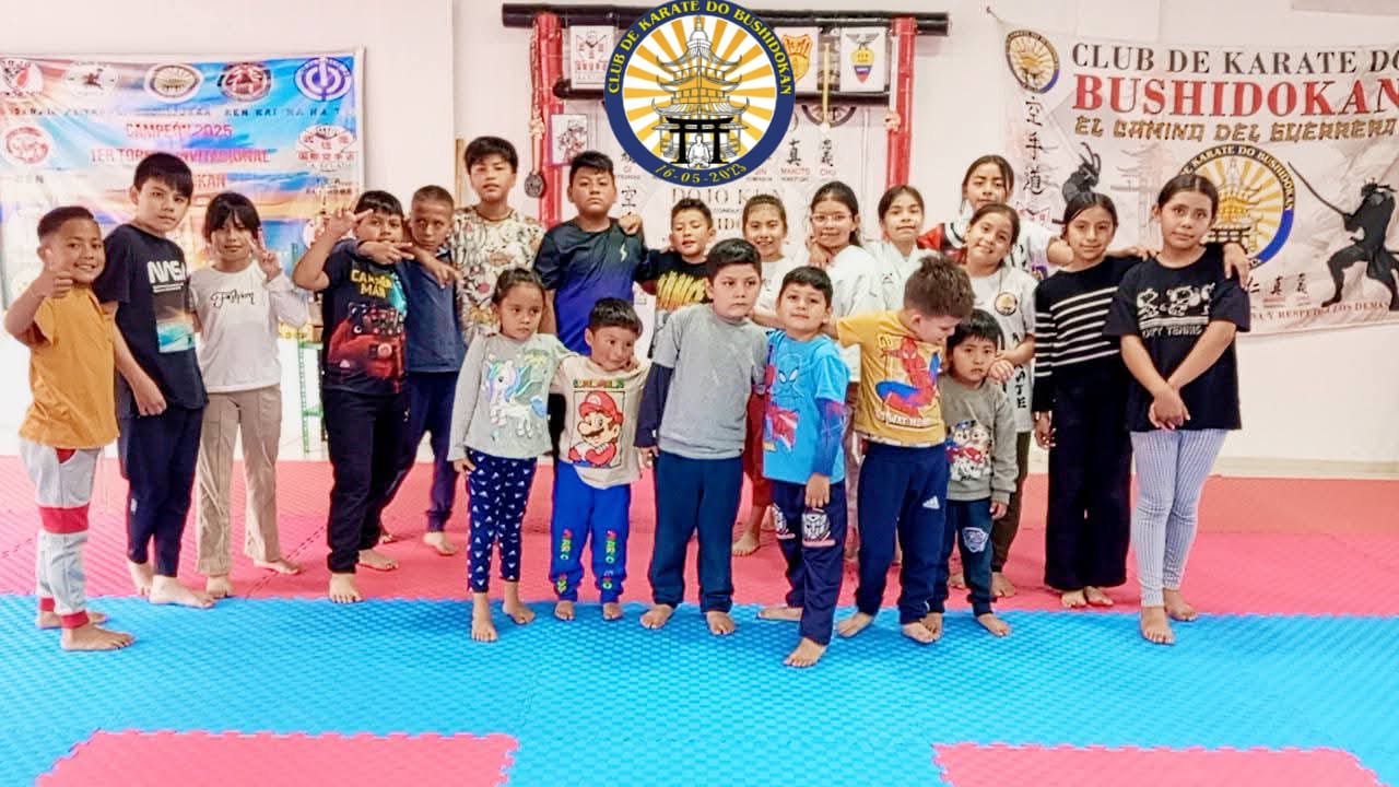 Karateka en posición de combate