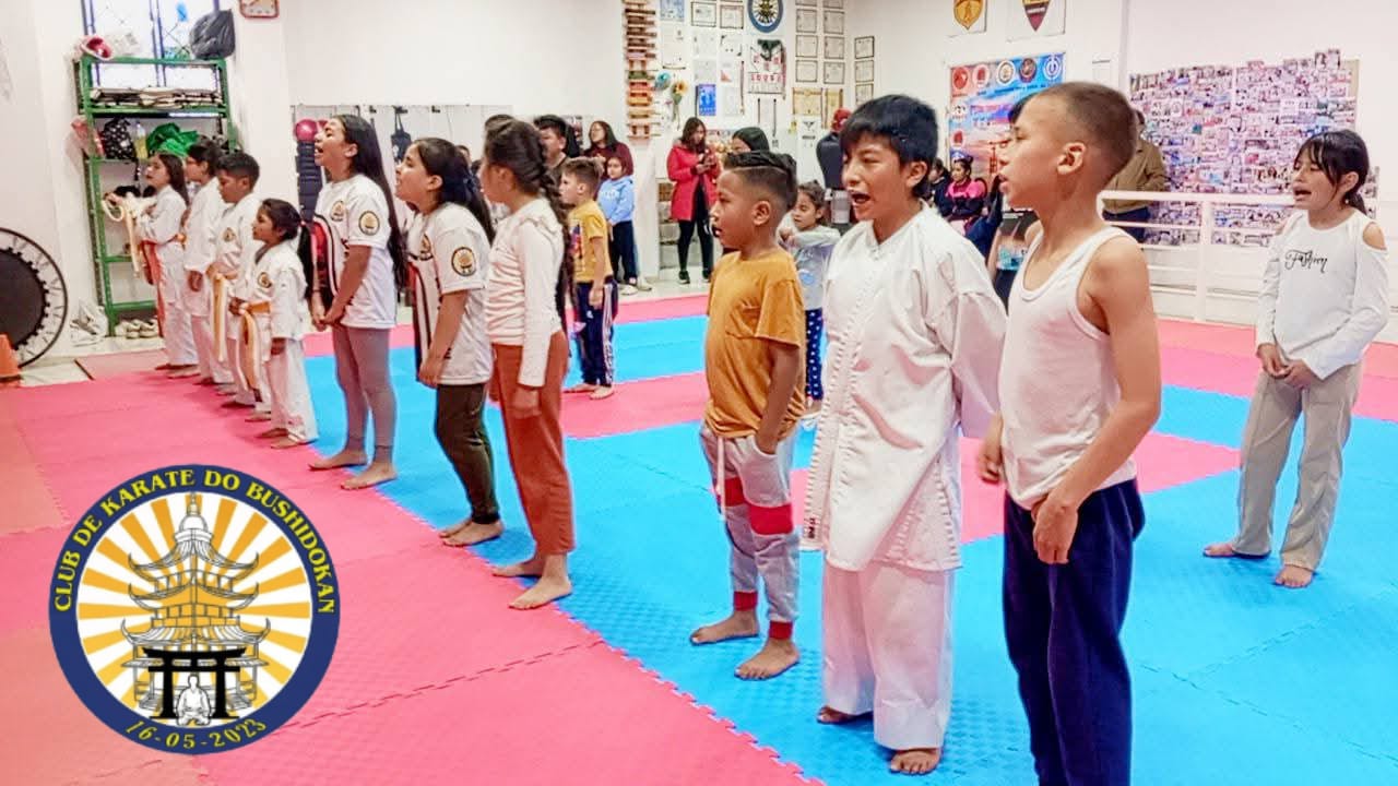 Entrenamiento con sensei
