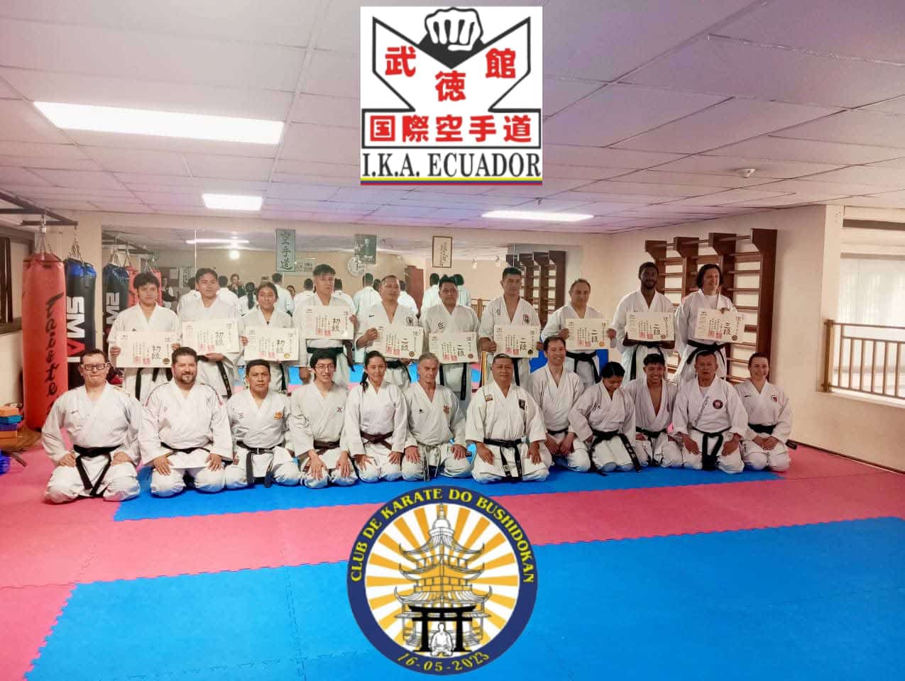 Entrenamiento con sensei