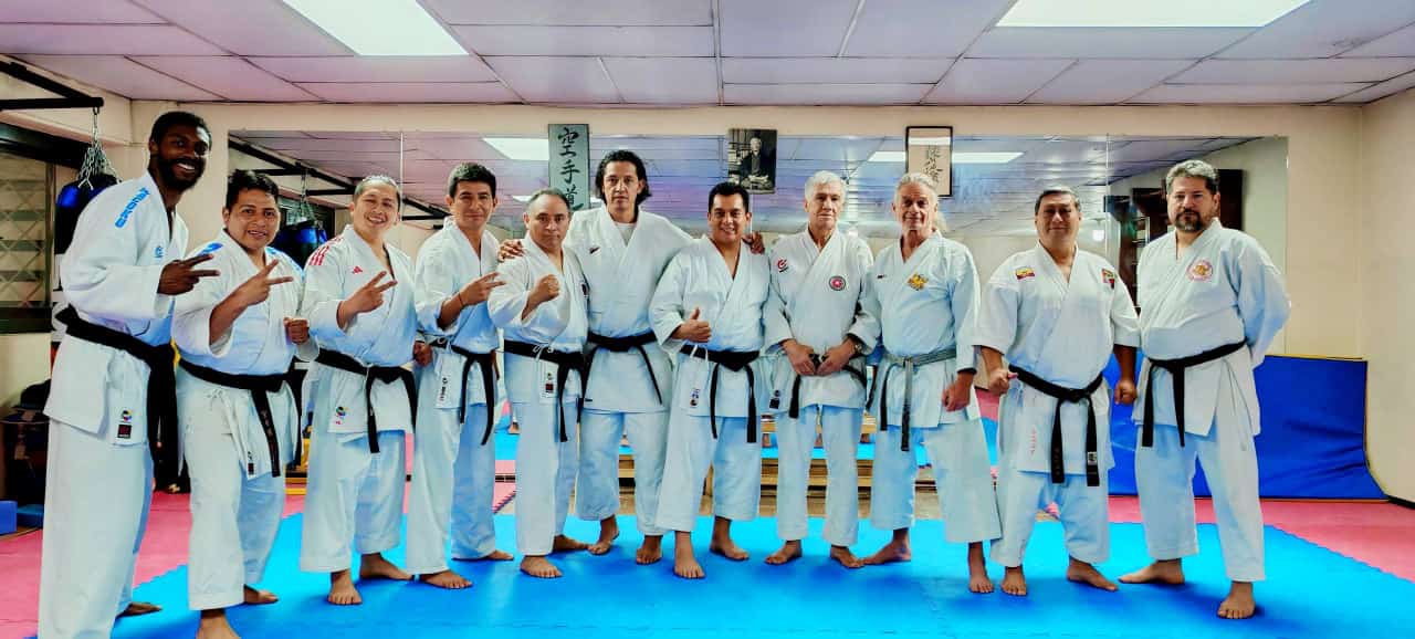Entrenamiento con sensei